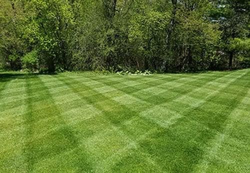 Lawn Aeration & Seeding for MLC in Murfreesboro, TN