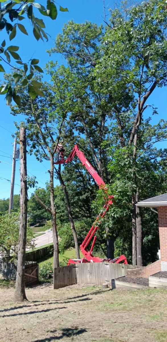 Tree Removal for Lawn Ranger Yard And Tree Service LLC in Ottumwa, IA