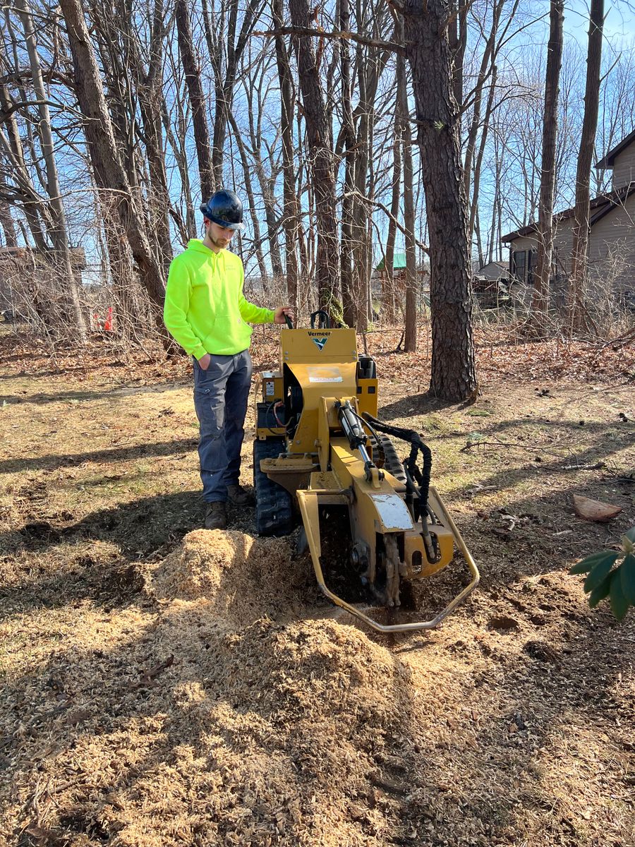 Stump Grinding for Sterlings Tree Removal in Cobleskill, New York