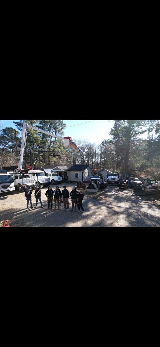 Tree Removal for AB Tree Service in Raleigh, NC