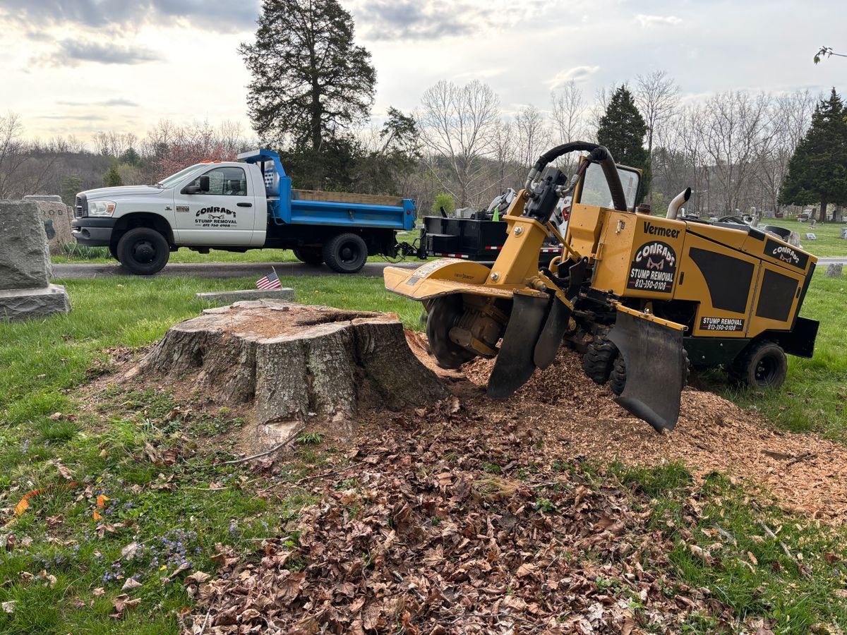 Stump Removal for Conrad's Stump Removal in Columbus, IN