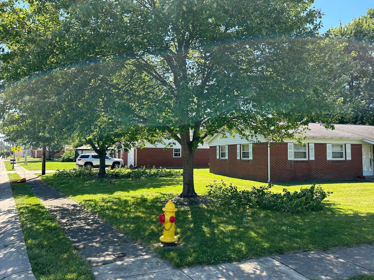 Shrub Trimming for Bearforce Lawn Care LLC in Greenfield, IN