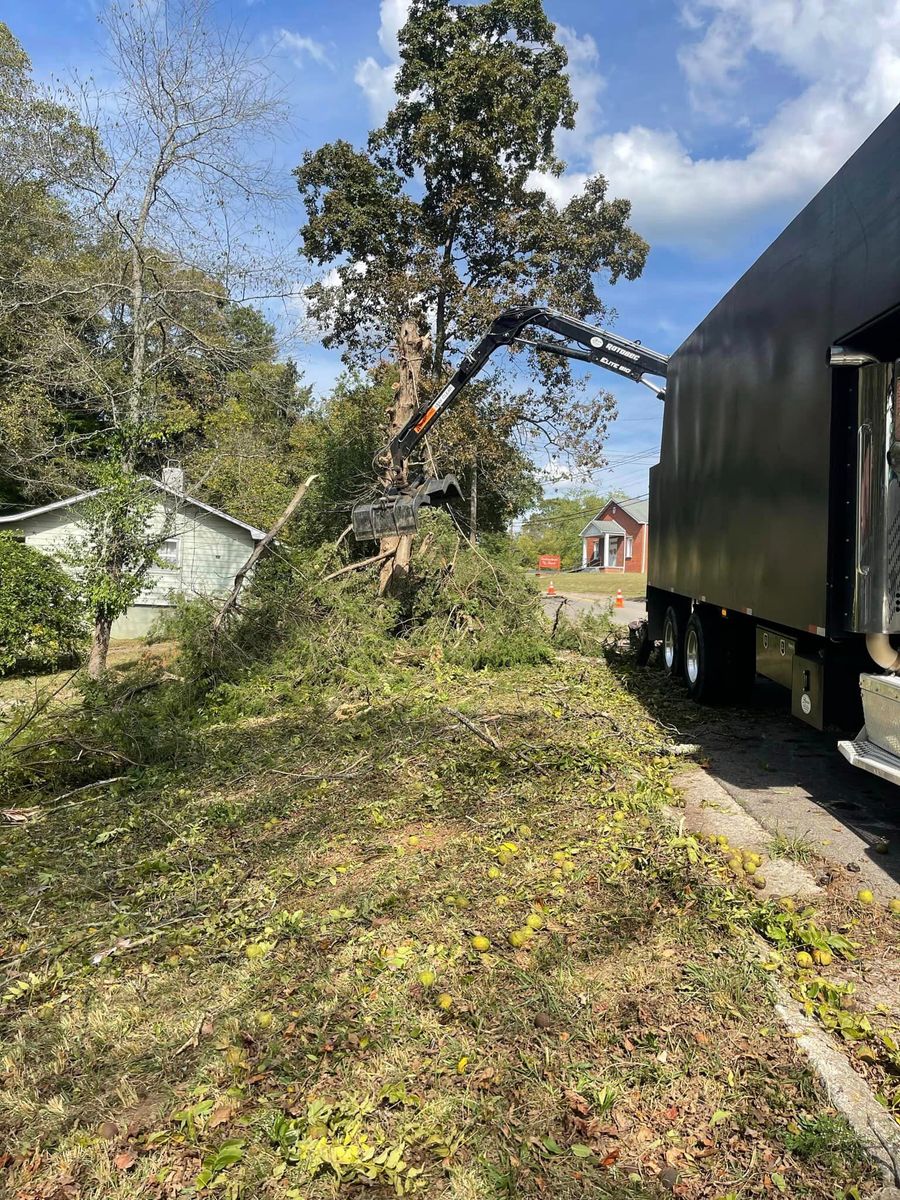 Tree Removal for Lucky’s Tree Removal and Landscape Services in Knoxville, TN