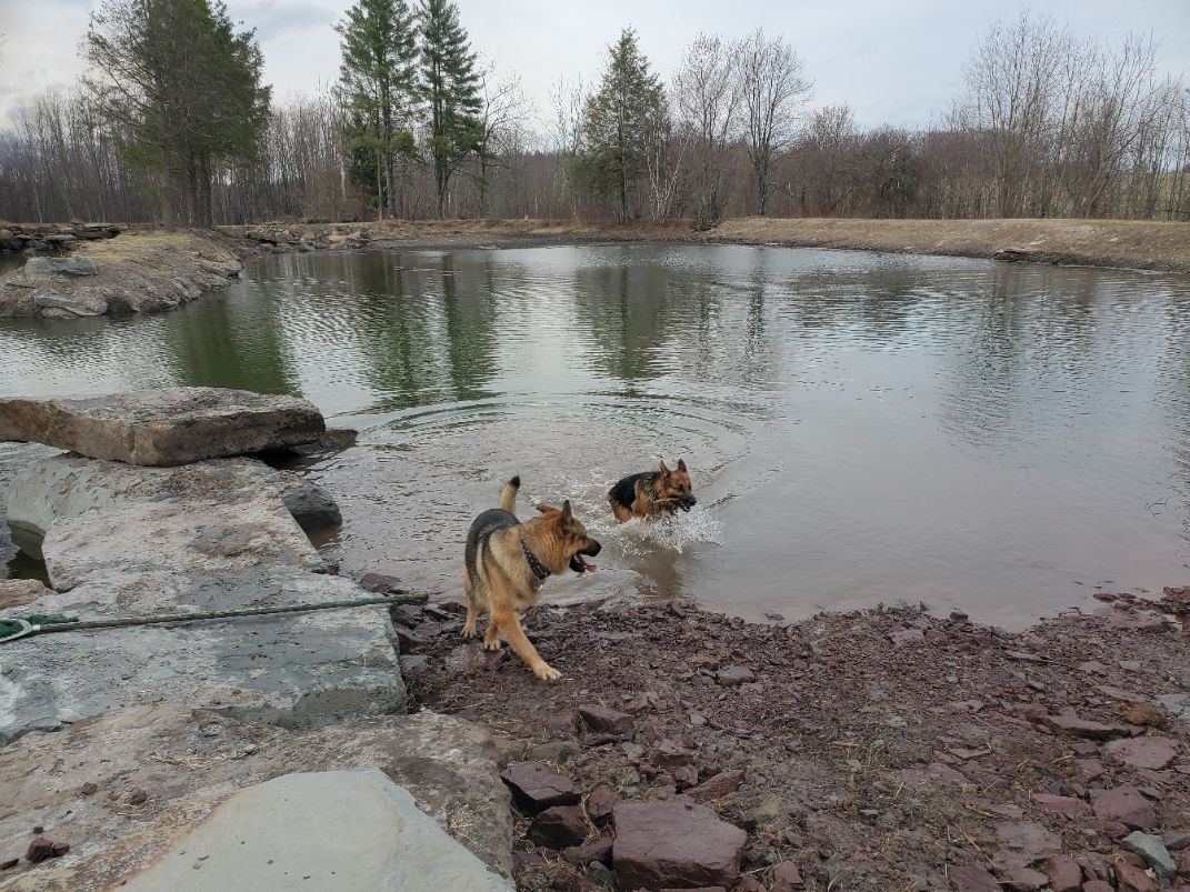 Ponds for R McK Excavating in Lake Ariel, PA