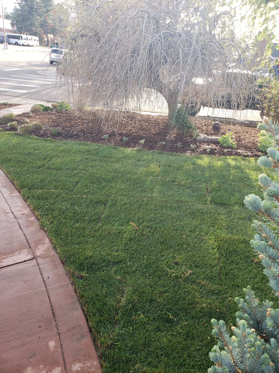 Mulch Installation for JS Landscaping Colorado in Denver, CO