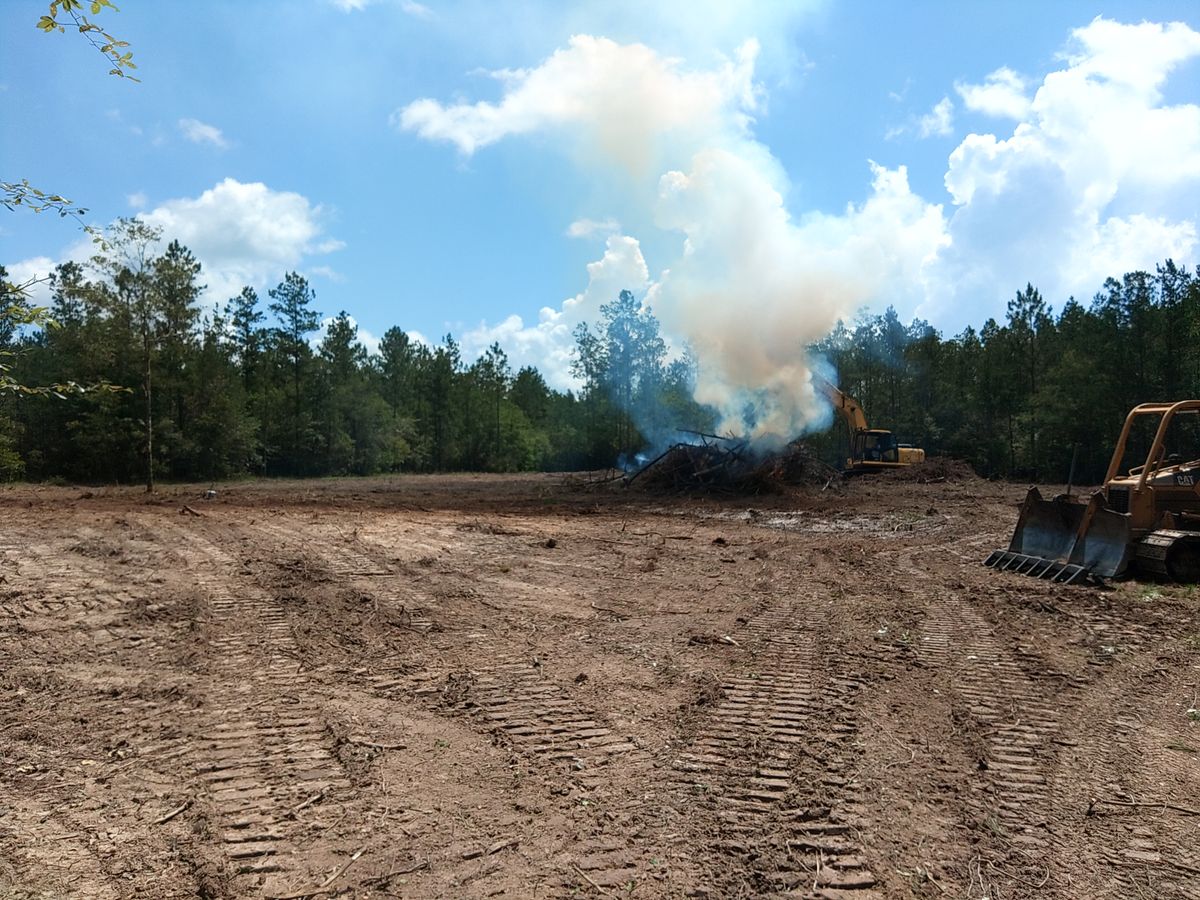 Land Clearing for Big Thicket Land Clearing in Kountze, TX