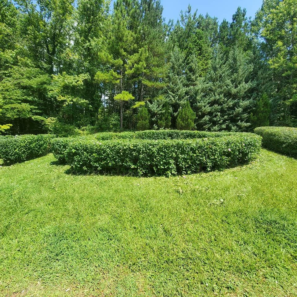 Shrub Trimming for Hendrix Family Landscaping in Dallas, GA