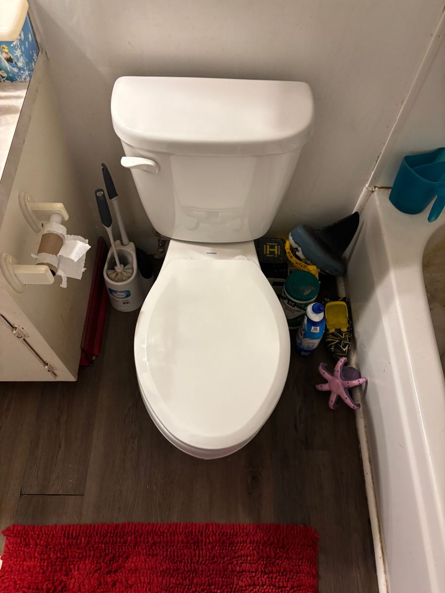 Toilet Repairs and Installation for Avanzi Plumbing in Millington, TN
