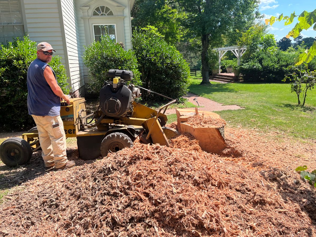 Land Clearing for T N L - Tree and Land Service in Reynolds, GA