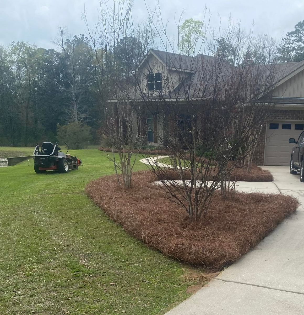 Tree and Shrub Care for Johnson Lawn Care in Mobile, AL