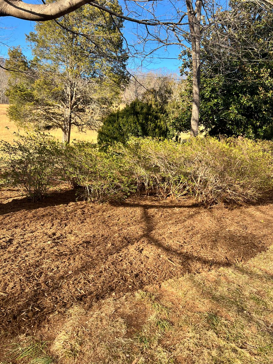 Mulch Installation for Valencia’s Lawncare in Charlottesville, VA