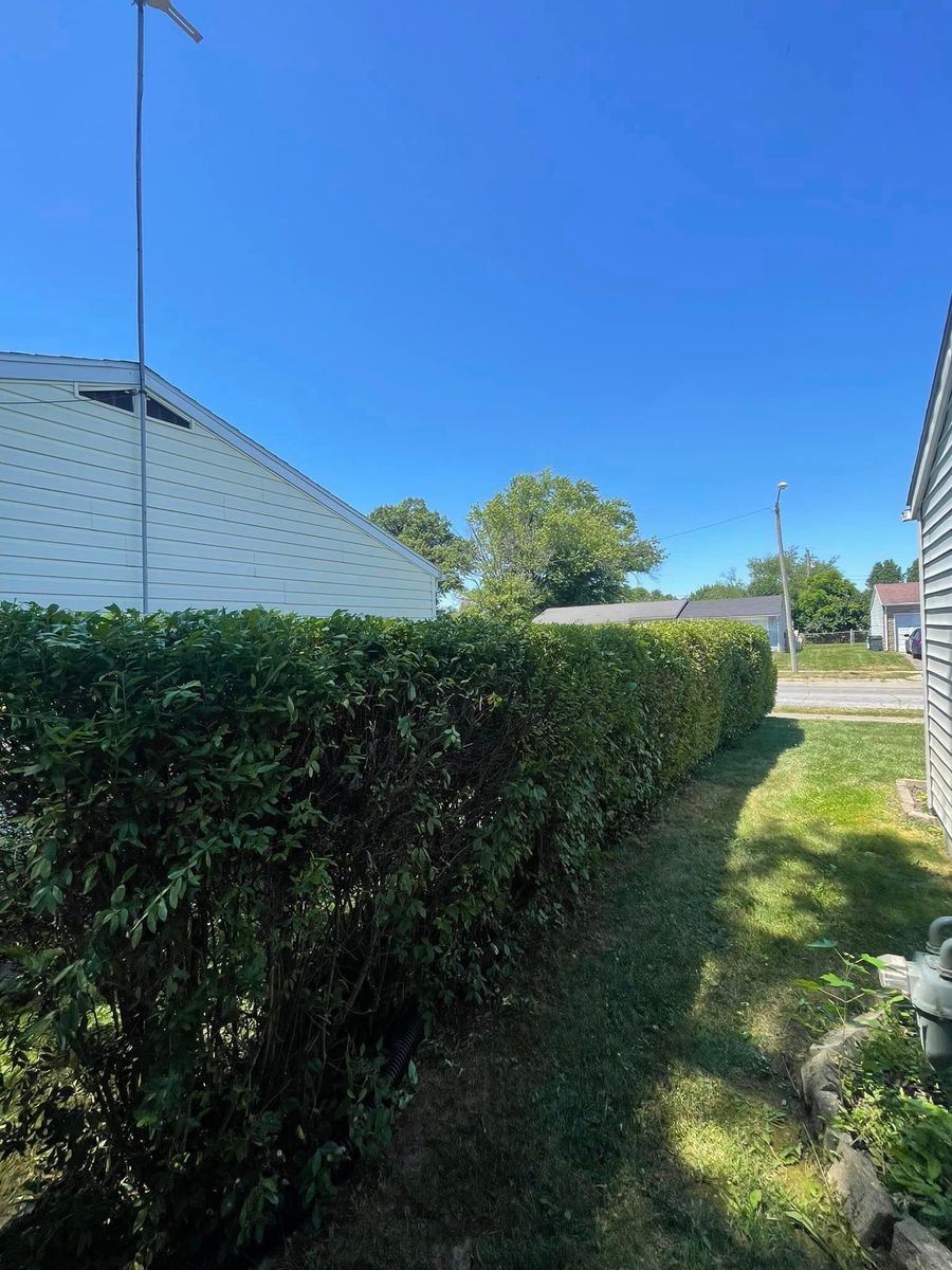 Shrub Trimming for Cromlish Cuts  in Springfield, OH 