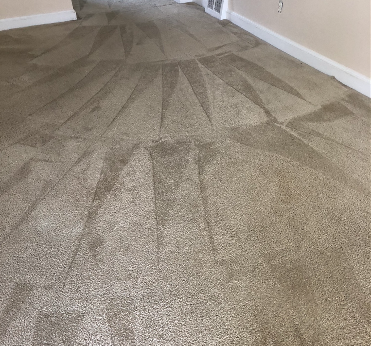 Deep Carpet Cleaning for Banderas Cleaning Service in Elsmere, DE