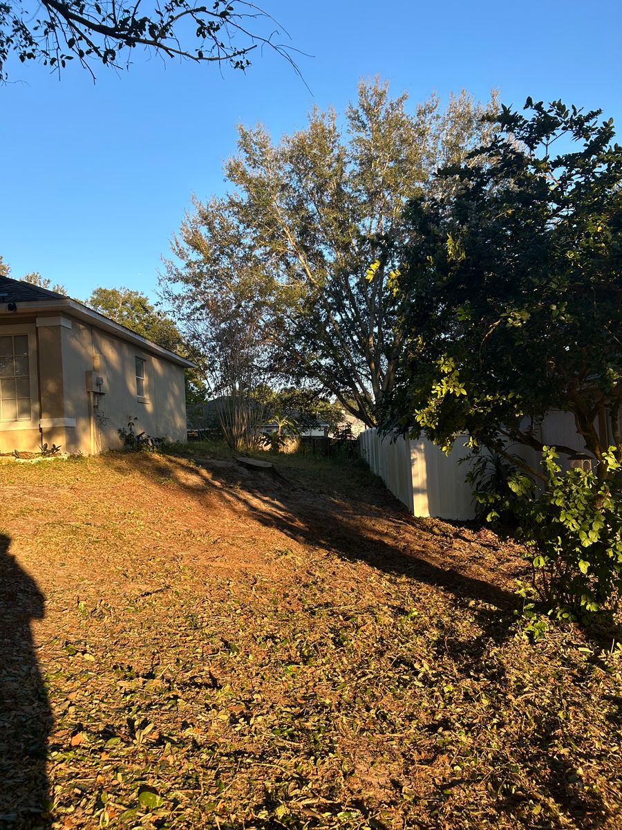Land Clearing for Amerigrown Tree And Lawn in Apopka, FL