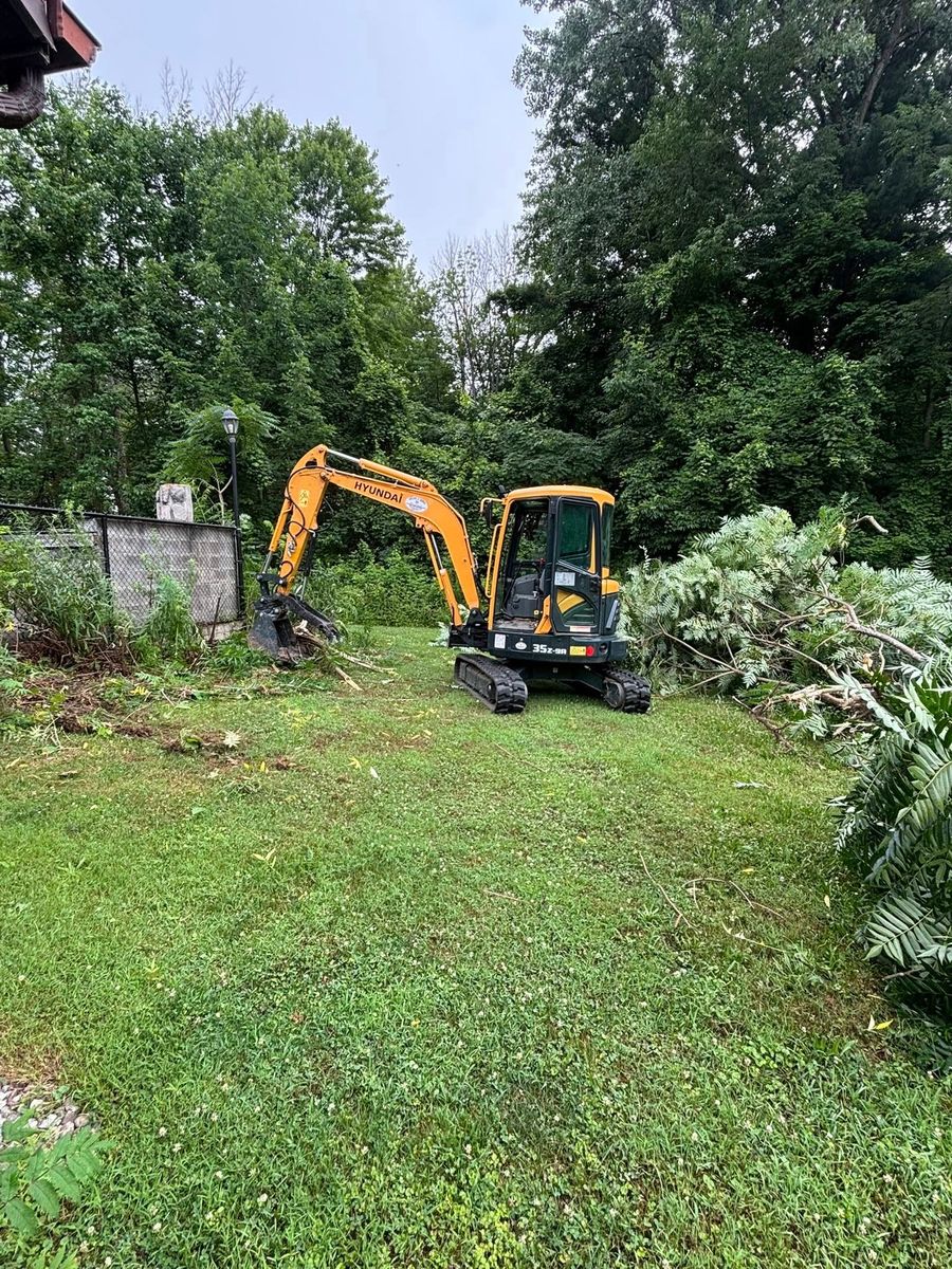 Tree & Shrub Care for Spencer Enterprise in Arcade, New York