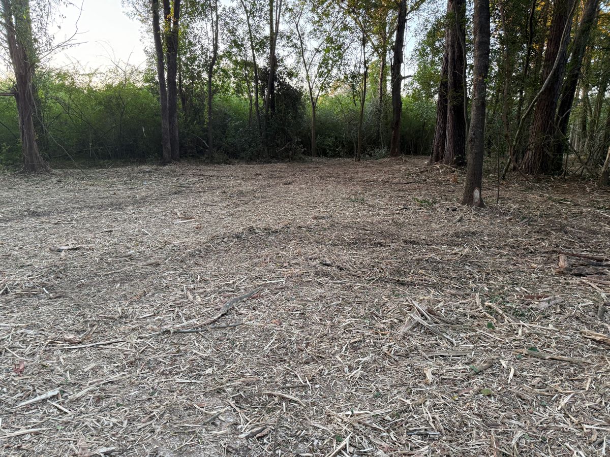 Tree Removal for T N L - Tree and Land Service in Reynolds, GA