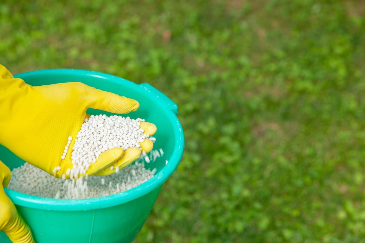 Lawn Care Fertilization for Amerigreen Lawn & Landscape in Duluth, GA