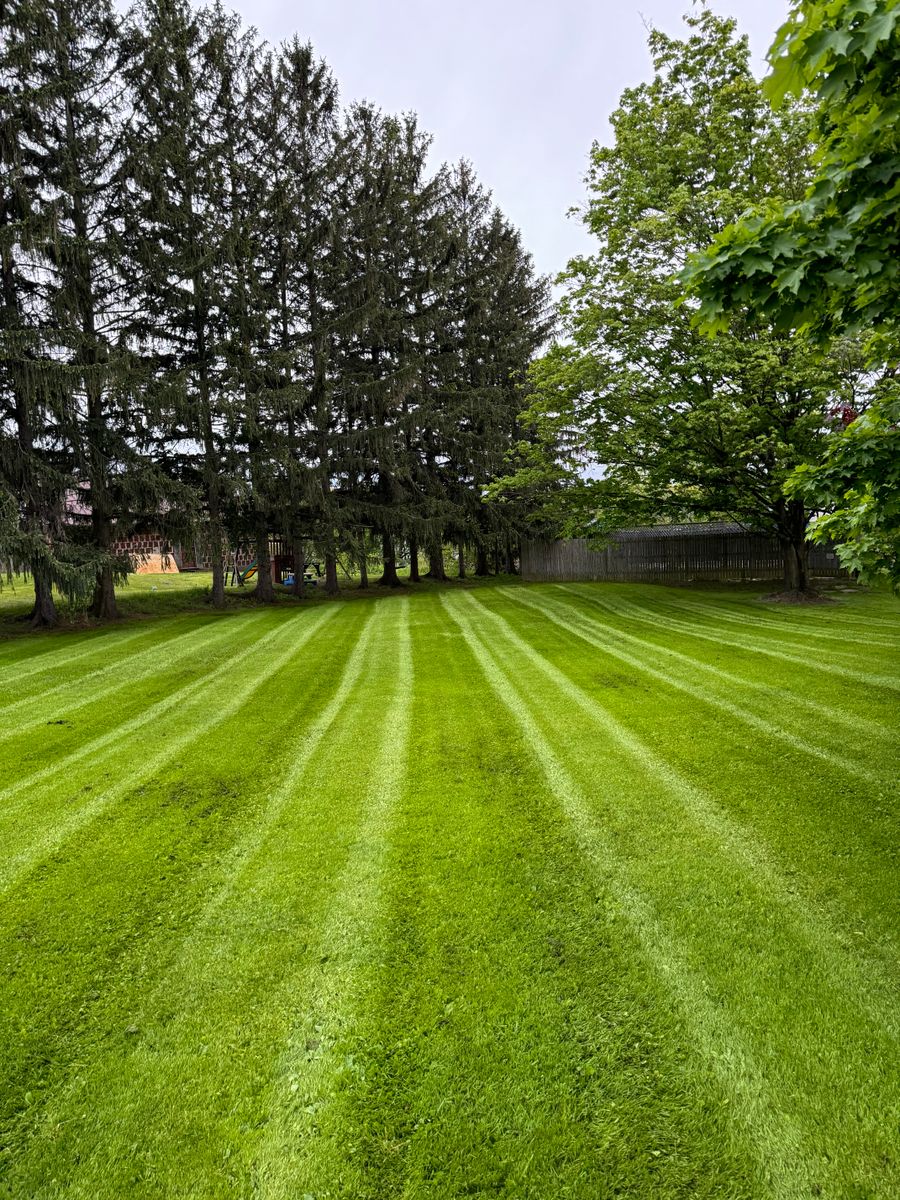 Mowing for Harpers Landscaping in Fredonia, NY