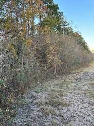 Bush Hogging for WNC Tree Works LLC in Murphy,  North Carolina