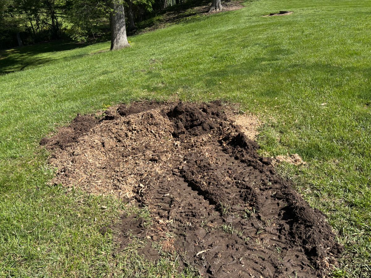 Stump Removal for Conrad's Stump Removal in Columbus, IN