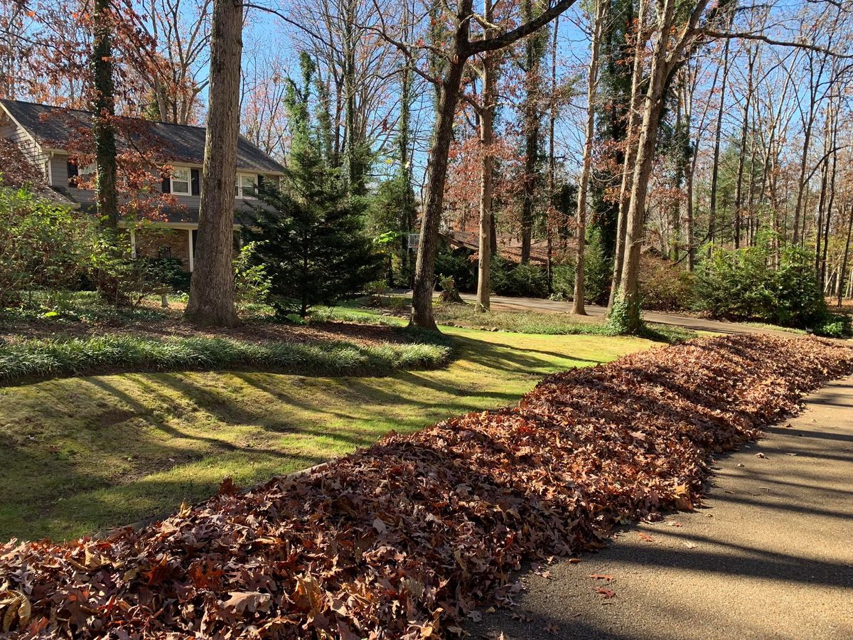 Fall Clean Up for ValleyScapes Landscaping in Walden, TN