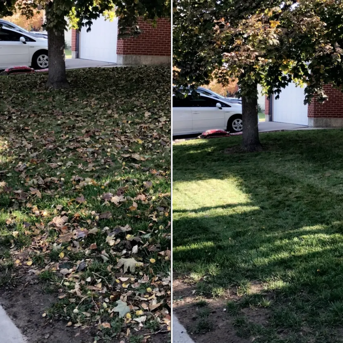 Trimming for Rock Masters Inc. in Evans, CO