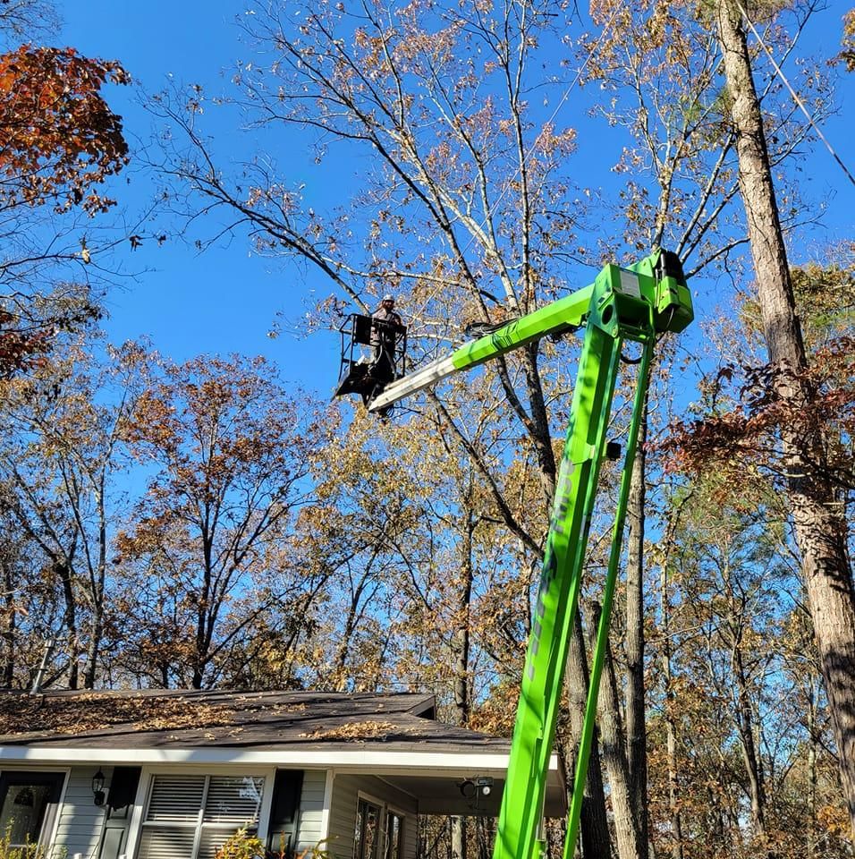Tree Removal for Trees Unlimited of the CSRA in Augusta, GA