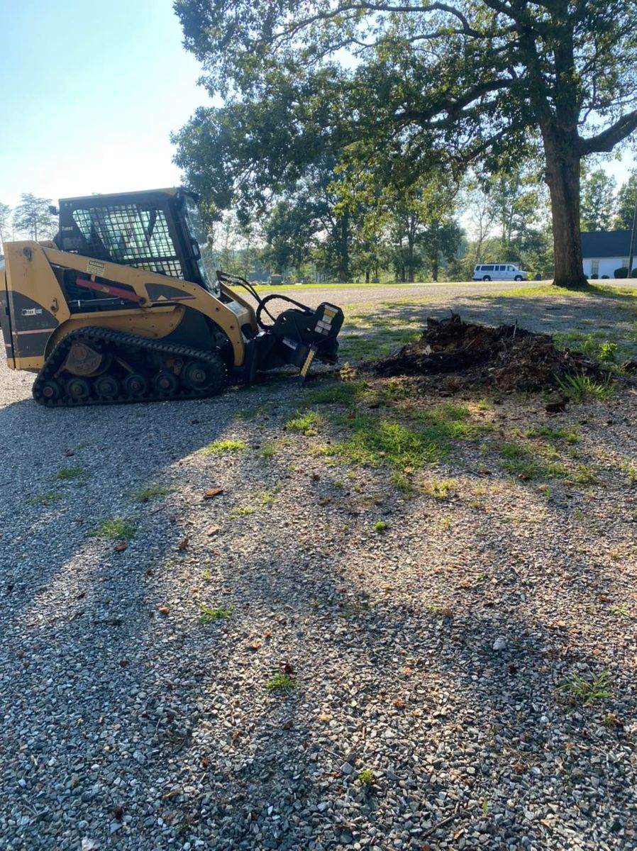 Stump Grinding for Cedar Point Land Management in Richmond, VA