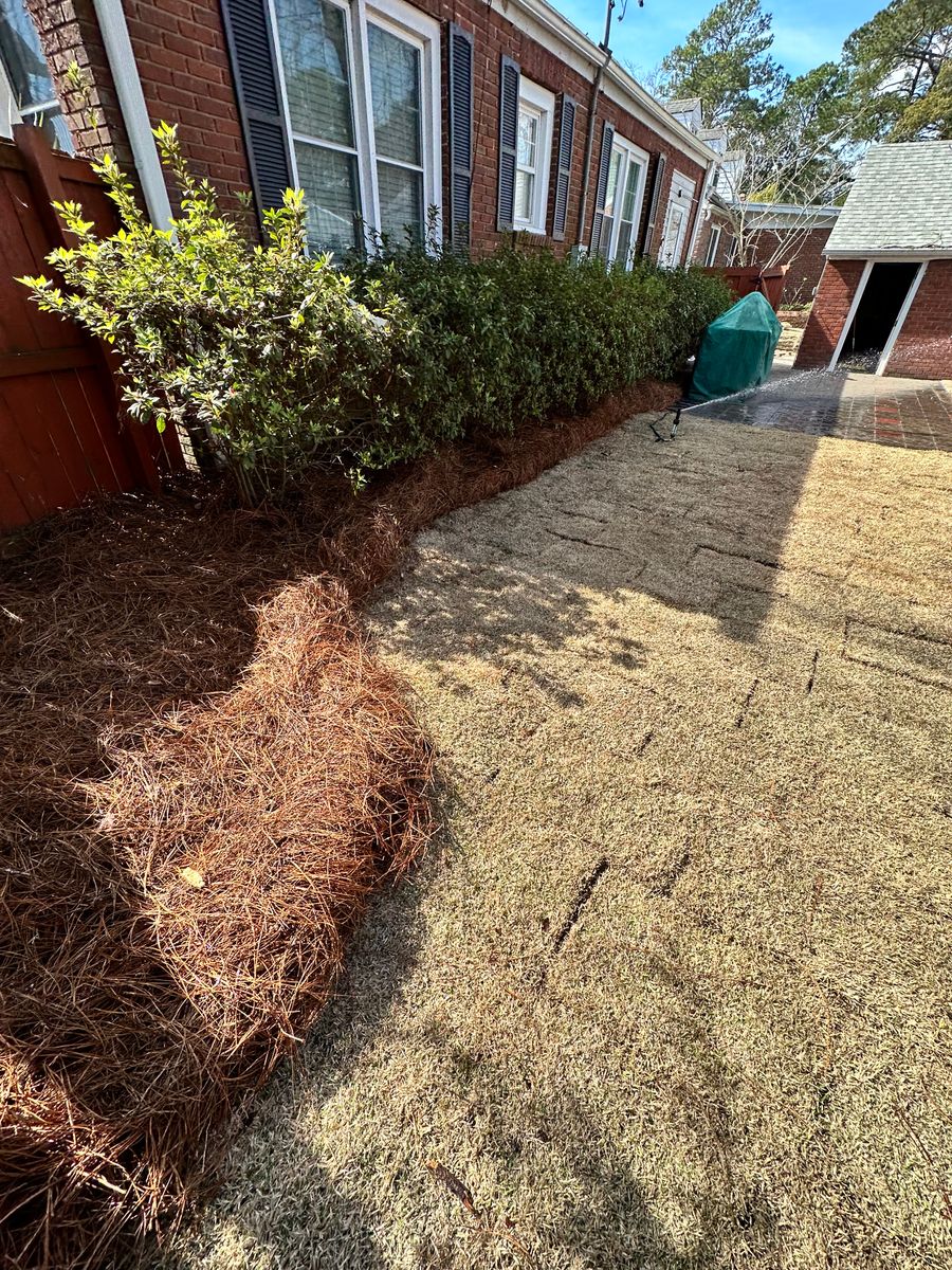 Pine Straw Installation for Coastalscapes Landscaping & Turf Management  in Savannah, GA