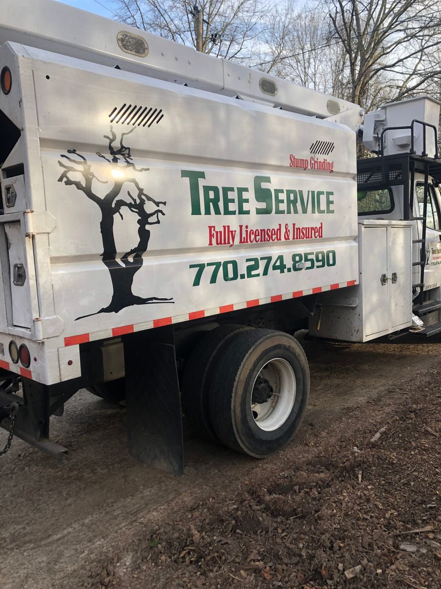Tree Removal for M & J Tree Service & Stump Grinding in Auburn, GA