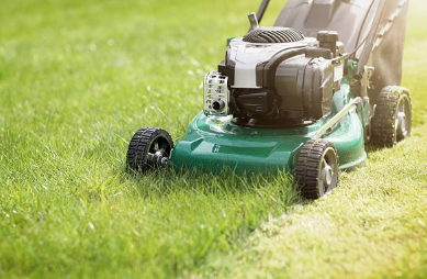 Lawn Care for Rodge Dawg Services and Property Management LLC in Port Huron, MI
