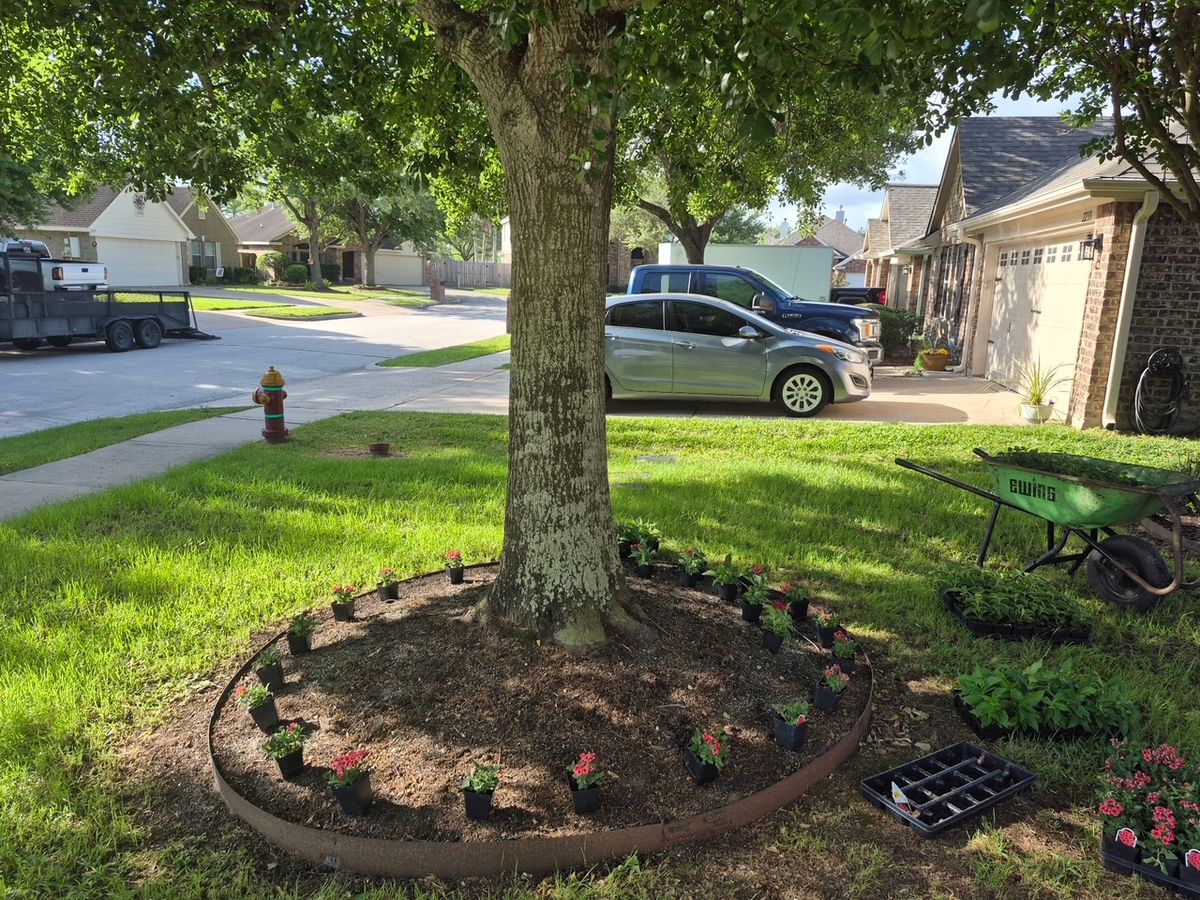 Landscaping for Texas Lawn & Sprinkler Co. in Houston, TX
