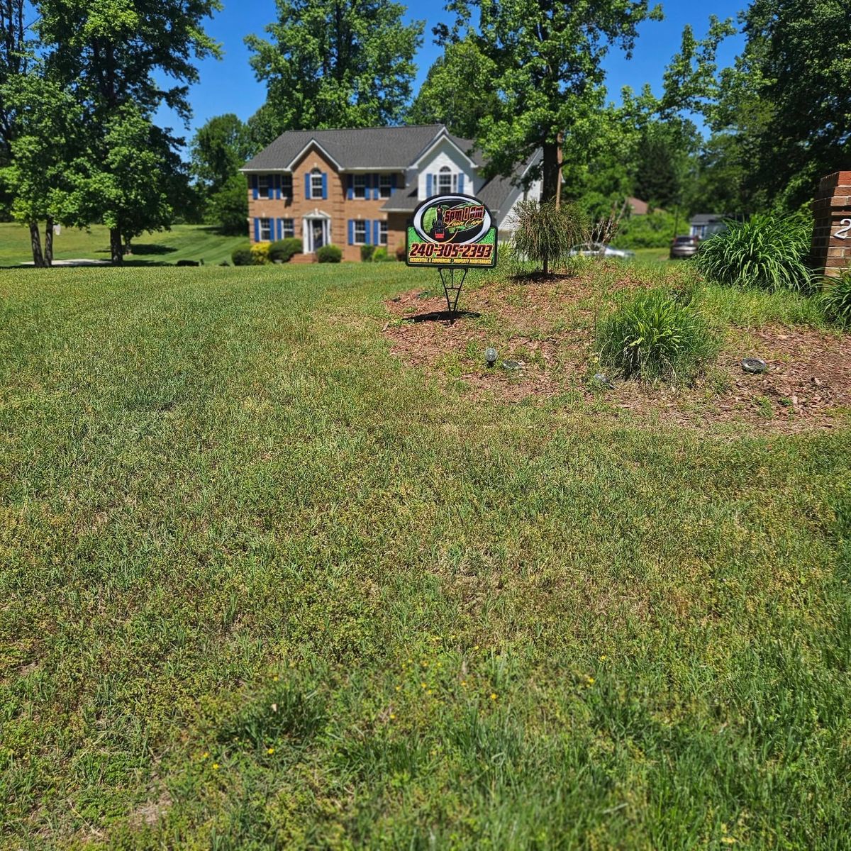 Tree & Shrub Care for Sam I AM Property Solutions in Sunderland, MD