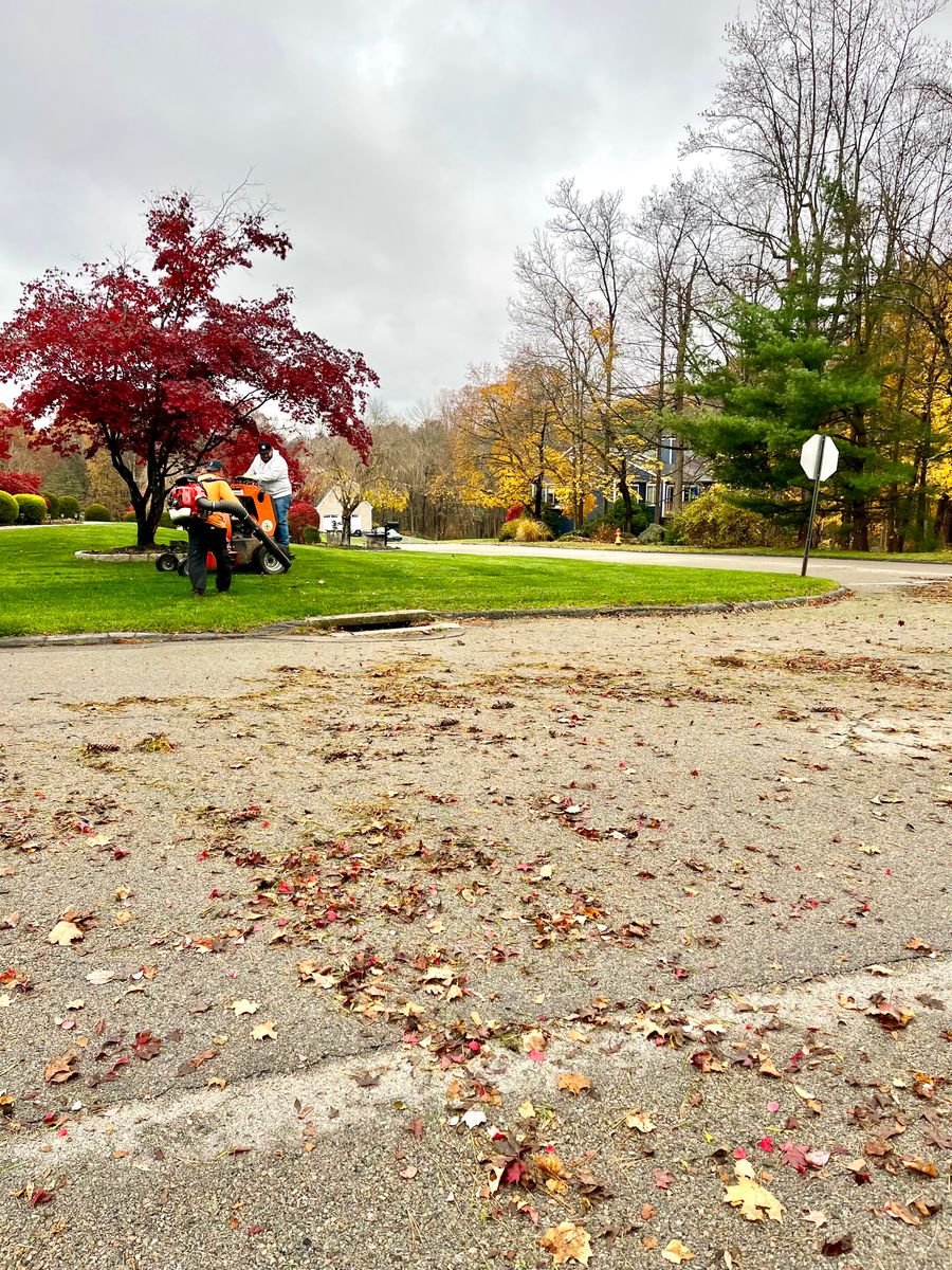 Fall Clean Up for Zaldivar’s Lawn Care INC  in Peekskill, NY