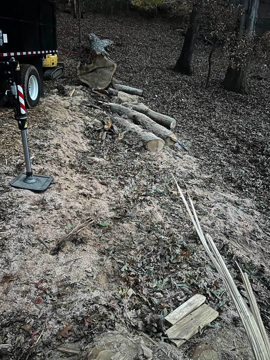 Tree Removal for Ground To Sky Tree Care in Asheville, North Carolina