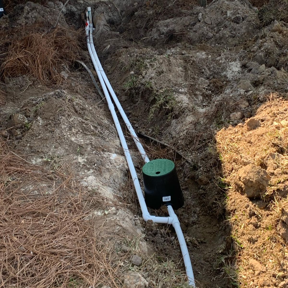 Turf, Ornamental, and Irrigation for Camalett Services in Perry, GA