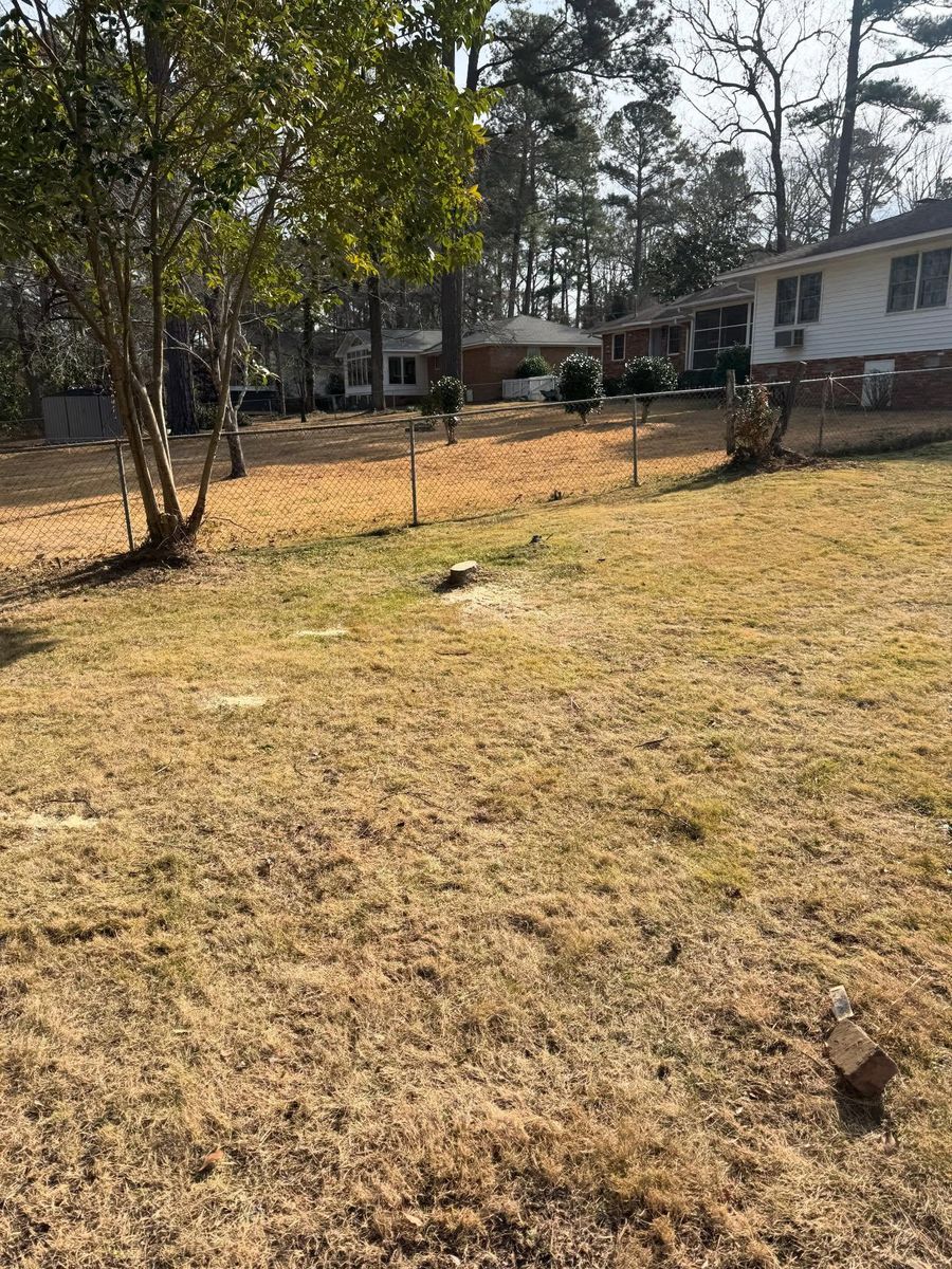 Mowing for Shang's Landscaping Service in Columbia, South Carolina