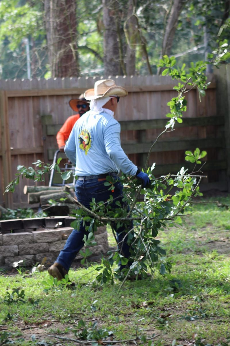 Tree Topping for American Tree Masters in Alvin, TX