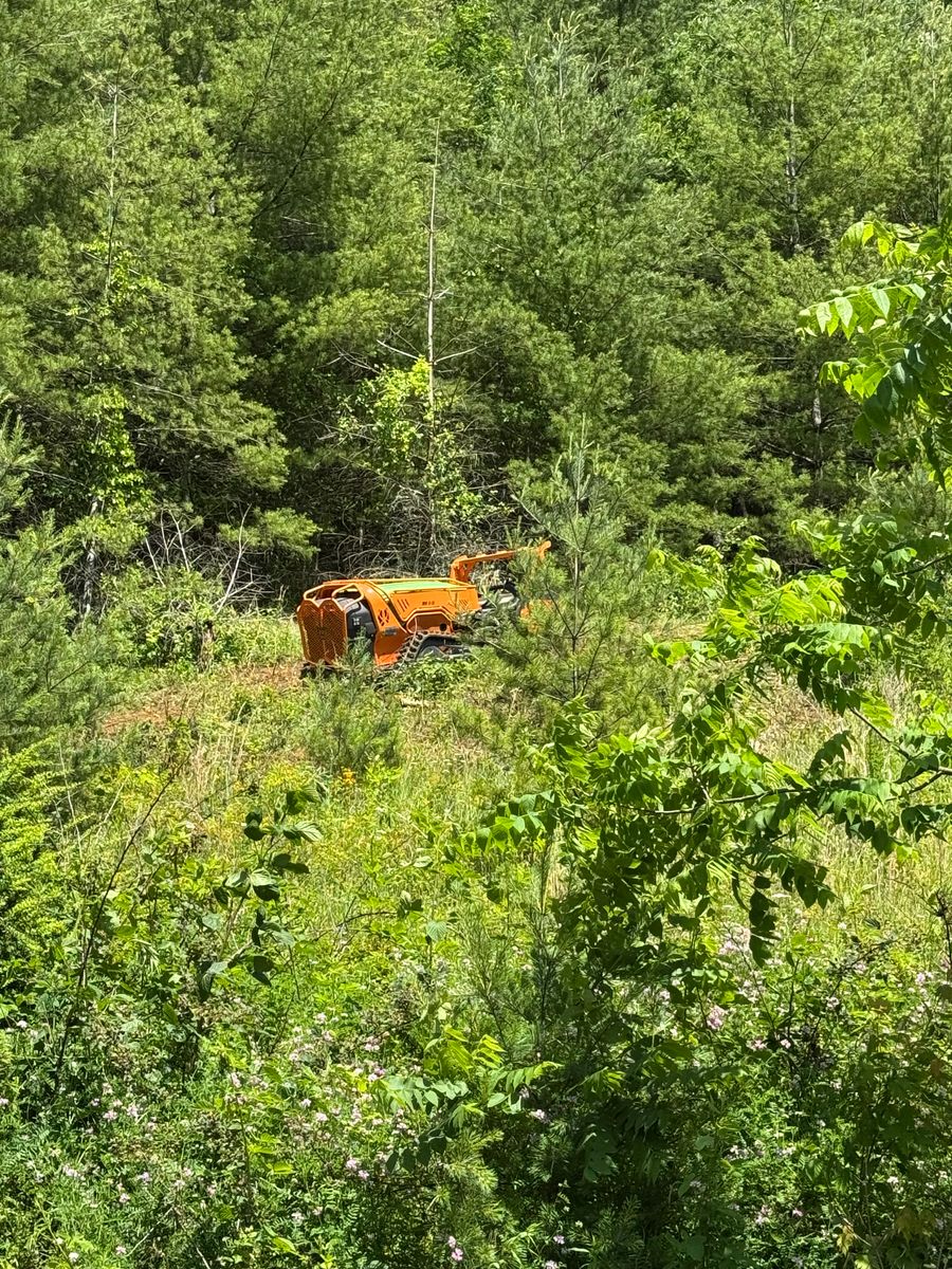 Reclaim Land for Mountain Goat Land Management in Galax, VA