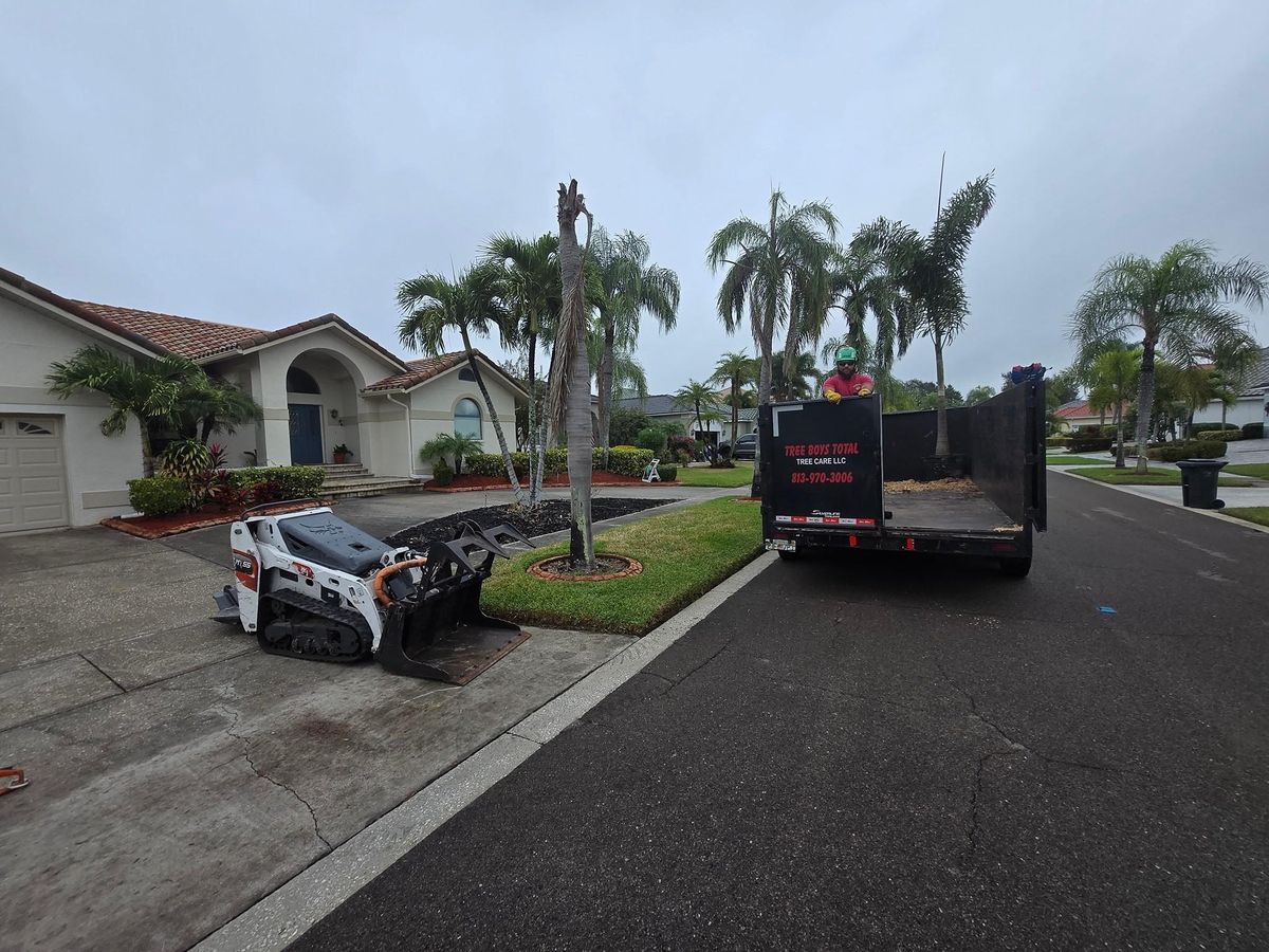 Stump Grinding for TREE BOYS in Ruskin, FL
