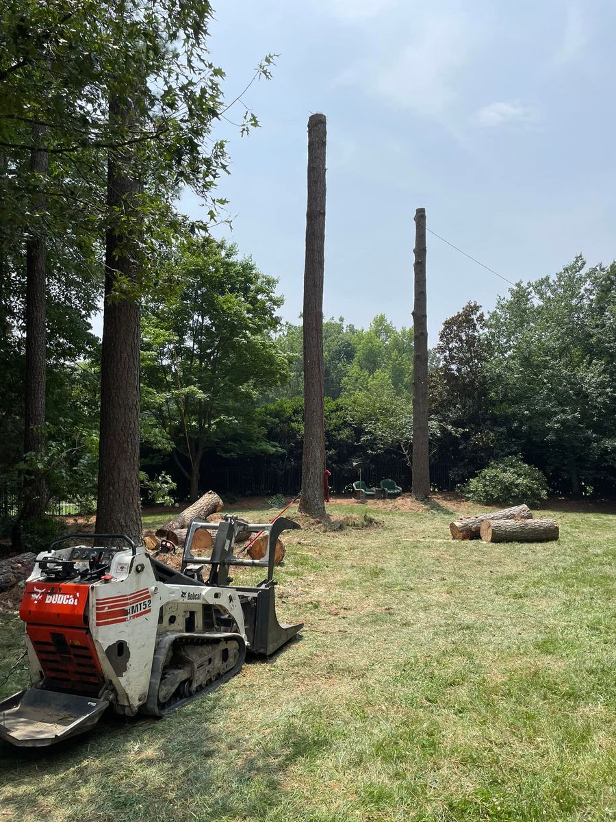 Tree Removal for Ace Tree Service  in Fuquay-Varina, NC