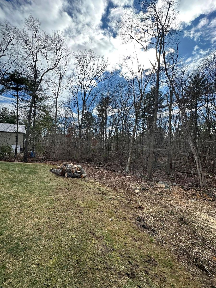 Stump Removal for Silver City Tree and Landscape in Taunton, MA