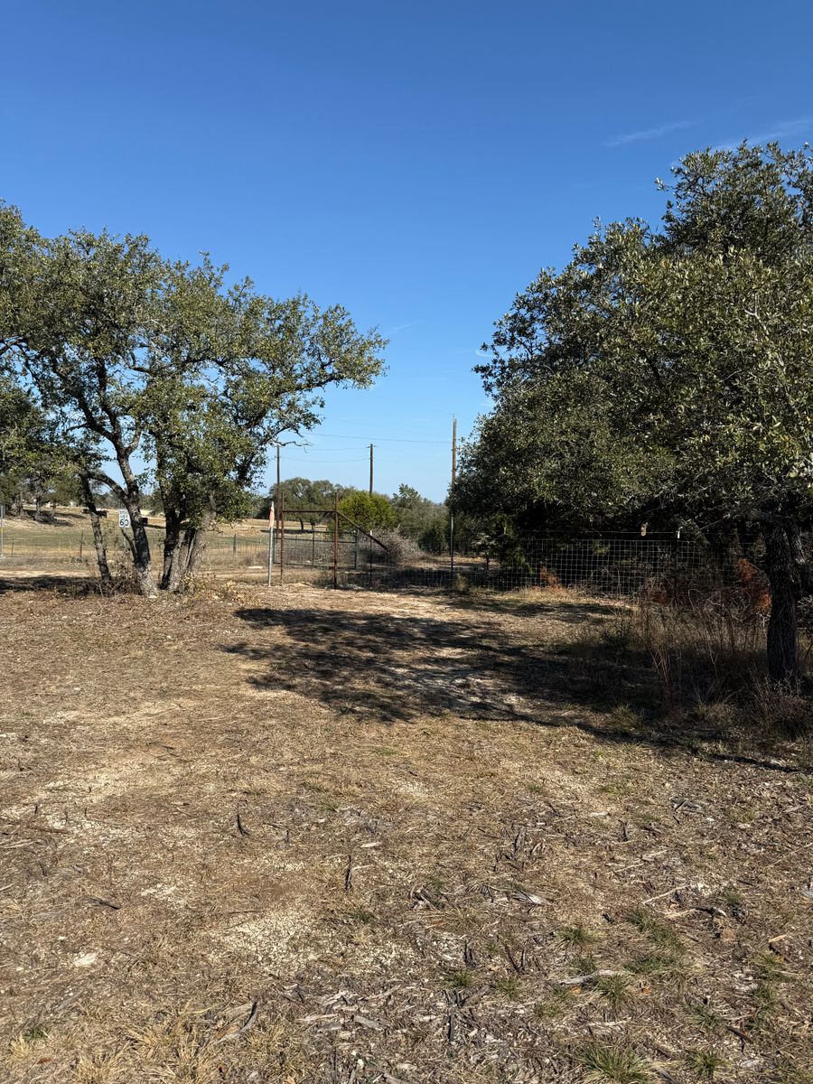 Tree Trimming for Oakley’s Stump ‘N Grind in Leander, TX