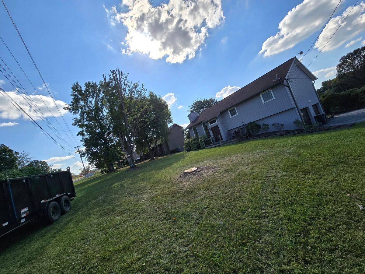 Tree Trimming for M&L Lumber and Excavating in Jonesborough, TN