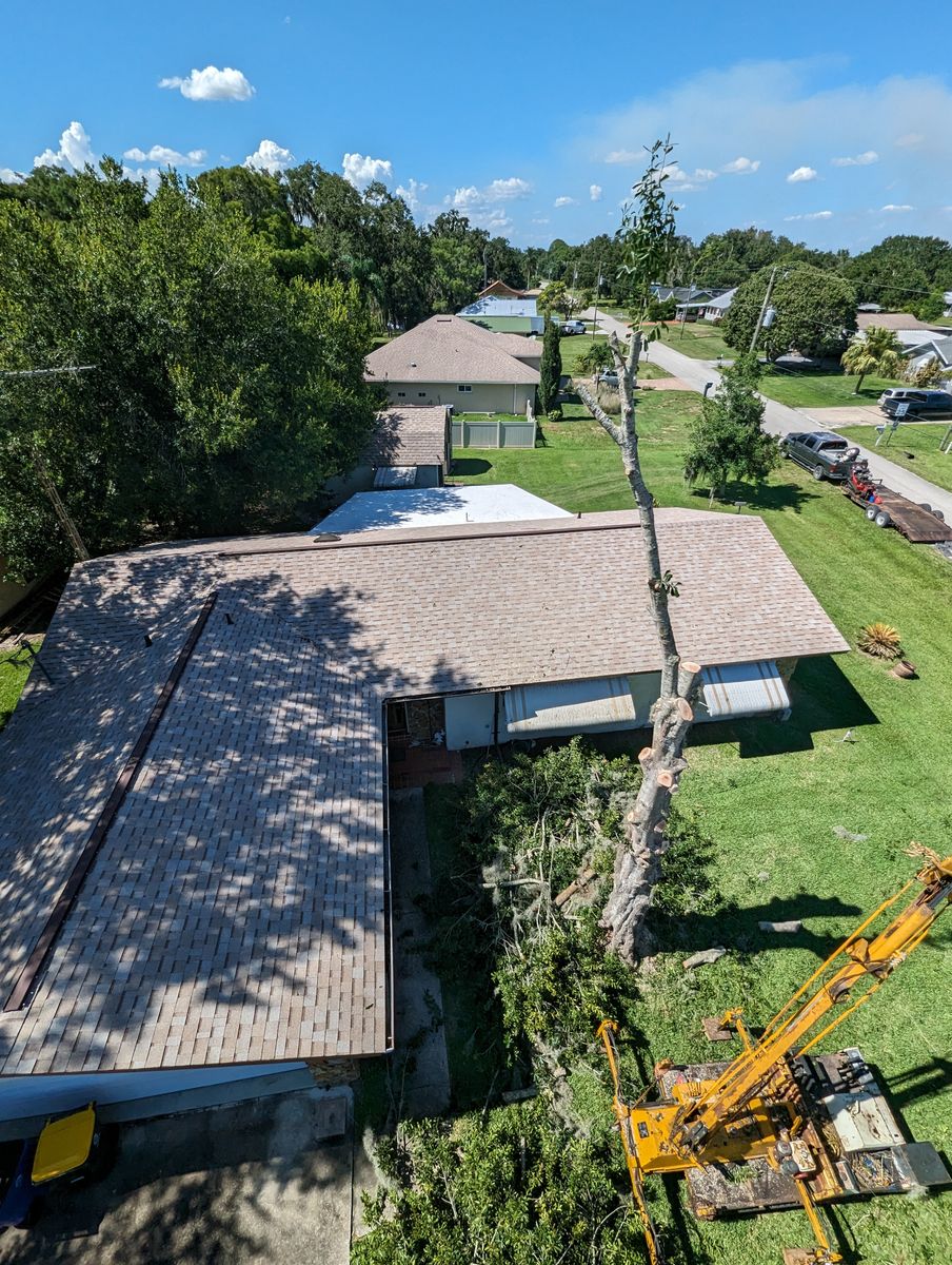 Debris Removal for Regal Tree Service and Stump Grinding in Wauchula, FL