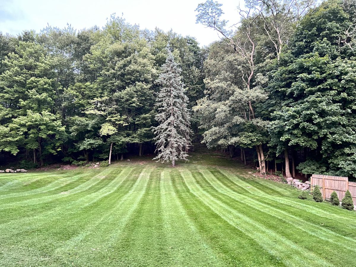 Lawn Maintenance for LJ Lawn & Property Maintenance, Inc. in Cold Spring, New York