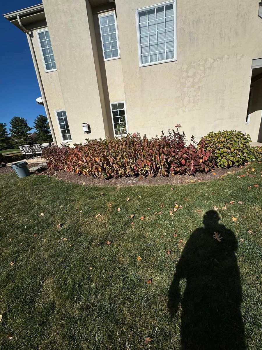 Leaf Removal Services for Landscape & Lawn Care Pros in Allentown, PA
