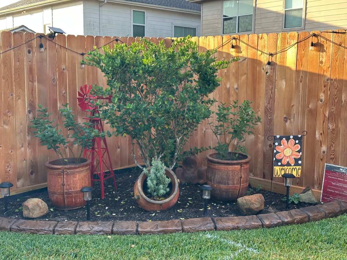 Decorative Concrete for Texas Curb N Borders in Houston, TX