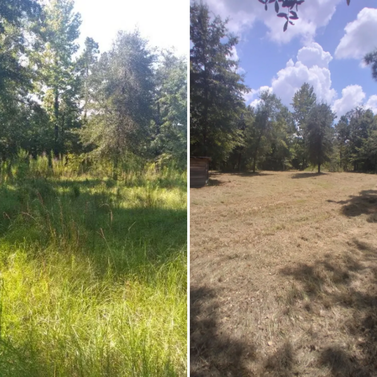 Lawn Mowing for Landrum’s Lawn & Tractor Services in Blountstown, FL