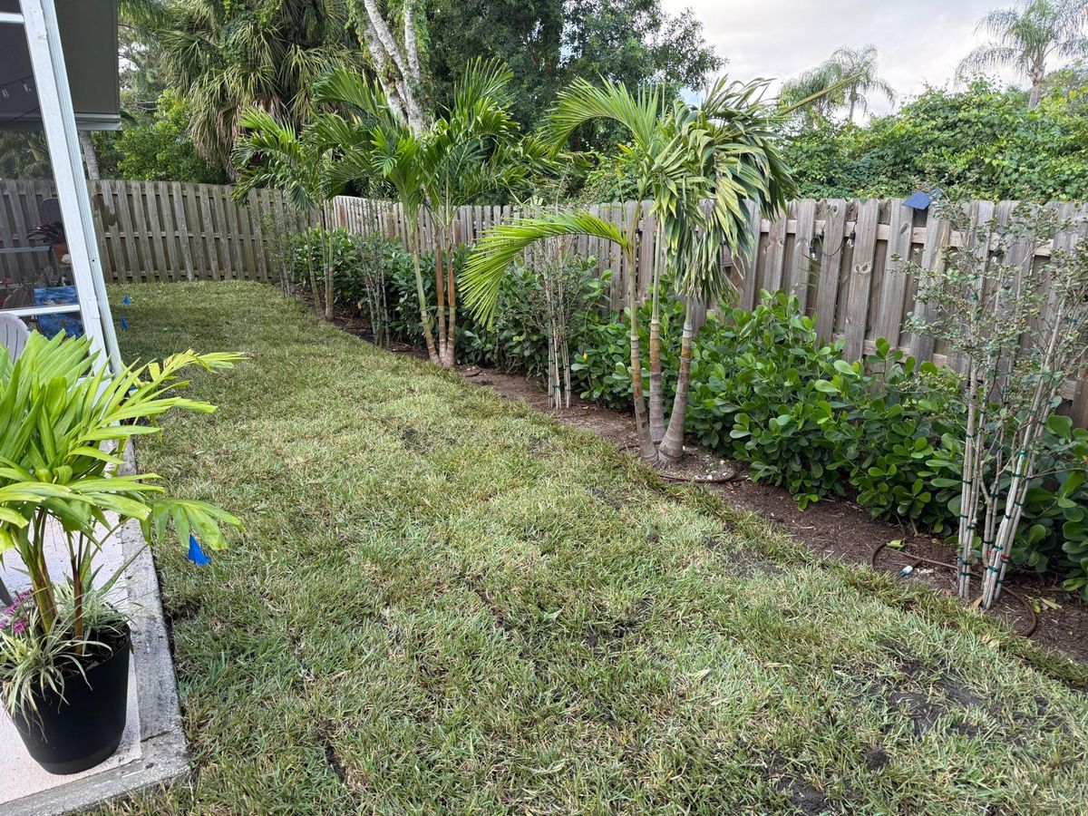 Landscape Removal for Florida Pro Turf in Rockledge, FL
